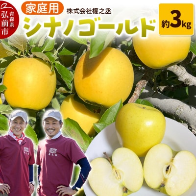 りんご シナノゴールド【家庭用】約3kg 權之丞 青森りんご|24_gnz-010301