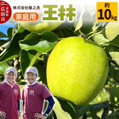 りんご 王林【家庭用】約10kg 權之丞 青森りんご|24_gnz-021001