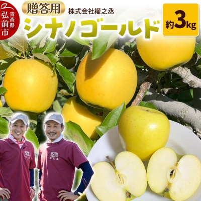 りんご シナノゴールド【贈答用】約3kg 權之丞 青森りんご|24_gnz-110301