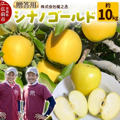 りんご シナノゴールド【贈答用】約10kg 權之丞 青森りんご|24_gnz-111001