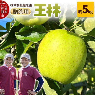 りんご 王林【贈答用】約5kg 權之丞 青森りんご|24_gnz-150501