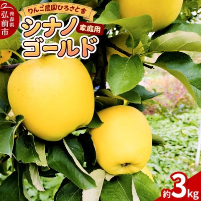 【26年11月中旬～発送】りんご シナノゴールド 家庭用 約3kg|24_hss-030301d