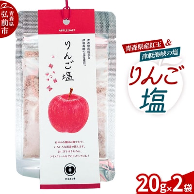 調味料 塩 りんご塩 20g×2袋|24_hss-050201