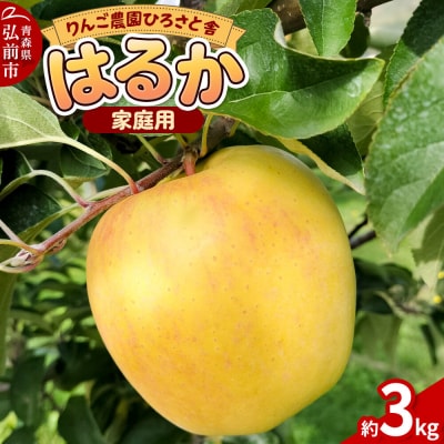 【26年12月～発送】りんご はるか 家庭用 約3kg|24_hss-060301e