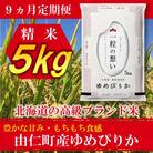 【9ヶ月定期】ゆめぴりか　5kg　計45kg【TT04】
