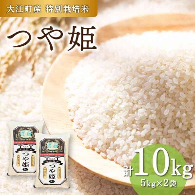 大江町産 つや姫 10kg(5kg×2袋)【山形県産 特別栽培米】 001-085