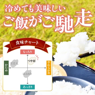 大江町産 つや姫 10kg(5kg×2袋)【山形県産 特別栽培米】 001-085