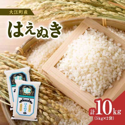《先行受付》【新米】大江町産 はえぬき 10kg(5kg×2) 10月頃より発送予定 001-086