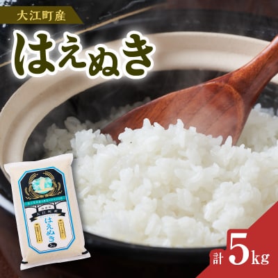 《先行受付》【新米】大江町産 はえぬき 5kg【2025年産10月頃より順次発送予定】001-097