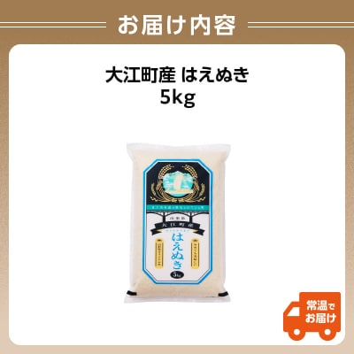 《先行受付》【新米】大江町産 はえぬき 5kg【2025年産10月頃より順次発送予定】001-097