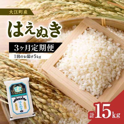  《3ヶ月定期便》大江町産 はえぬき 5kg×3ヶ月(計15kg)【山形県産】 001-T04