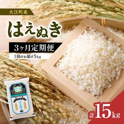 《先行受付》新米《3ヶ月定期便》 はえぬき 5kg×3ヶ月【10月頃より順次発送】001-T04