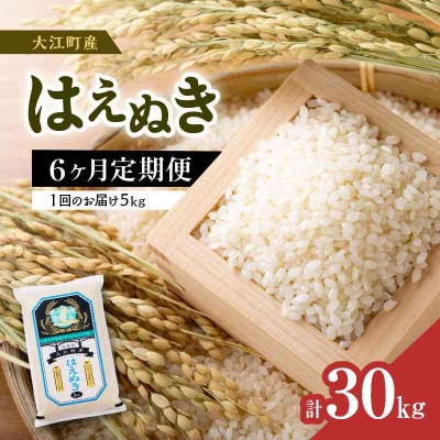 《先行受付》新米《6ヶ月定期便》 はえぬき 5kg×6ヶ月【10月頃より順次発送】001-T06