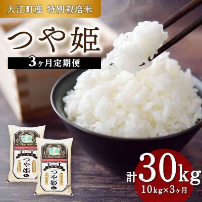 《3ヶ月定期便》大江町産 つや姫 10kg(5kg×2袋)×3ヶ月(計30kg) 001-T19
