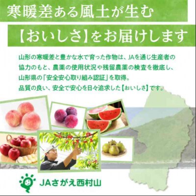  《3ヶ月定期便》大江町産 つや姫 10kg(5kg×2袋)×3ヶ月(計30kg) 001-T19