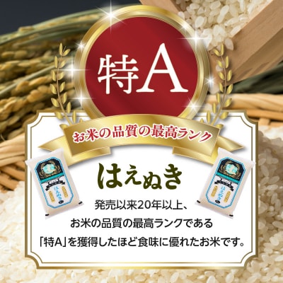  《先行受付》新米 《9ヶ月定期》 はえぬき 10kg×9ヶ月【10月頃より順次発送】001-T26