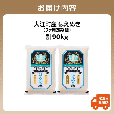 【新米】《9ヶ月定期》 はえぬき 10kg×9ヶ月 001-T26