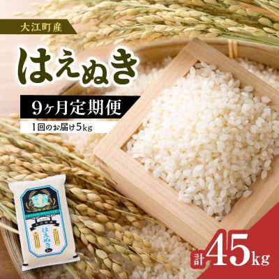 《9ヶ月定期便》 はえぬき 5kg×9ヶ月 001-T37