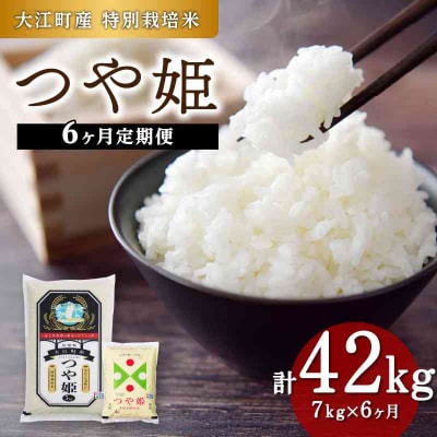  《定期便6ヶ月》大江町産 つや姫 7kg×6回 合計42kg 【特別栽培米】 001-T38