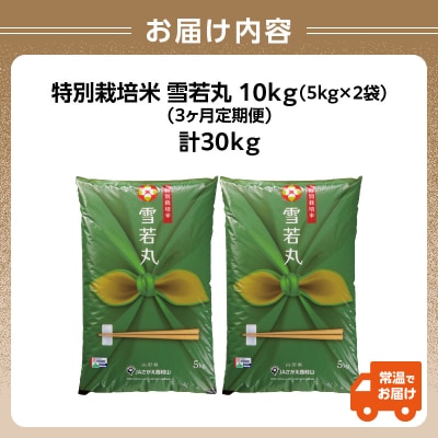  《定期便3ヶ月》特別栽培米 雪若丸 10kg×3回 合計30kg 【山形県産】 001-T41