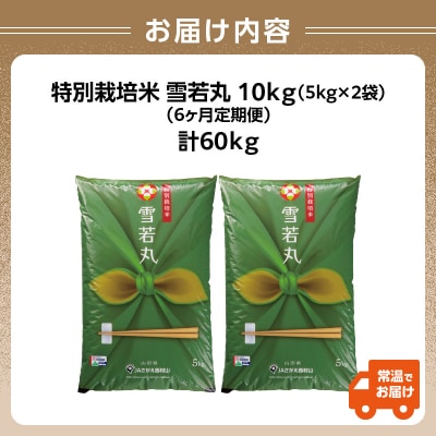  《定期便6ヶ月》特別栽培米 雪若丸 10kg×6回 合計60kg 【山形県産】 001-T42