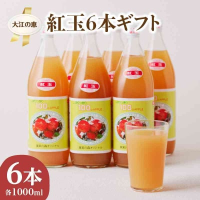 大江の恵 昔なつかしのすっきり紅玉6本ギフト 003-025