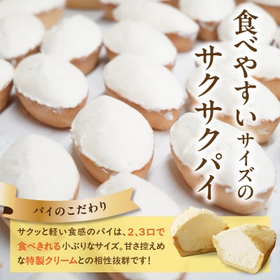 蝶谷の生パイ 20個セット 007-010