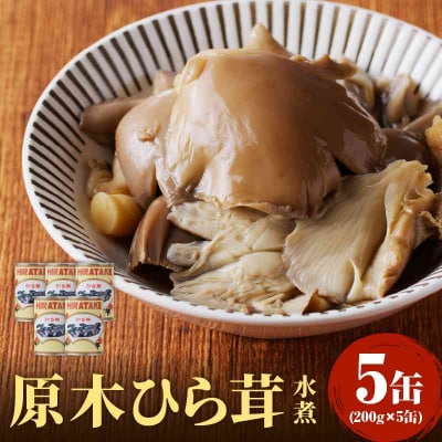 大江町柳川産 原木ひら茸水煮200g×5缶(固形量) 014-004