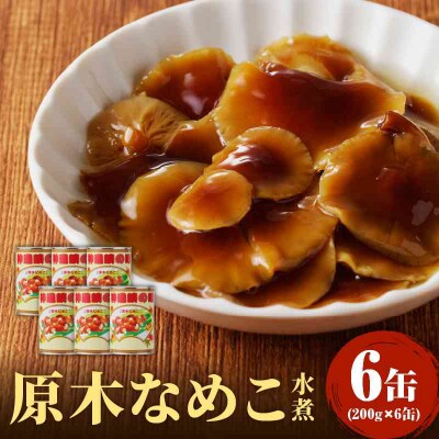 大江町柳川産 原木なめこ水煮200g×6缶(固形量) 014-003