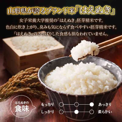 山形県産 無洗米 はえぬき 胚芽精米 10kg(2kg×5袋) 036-007