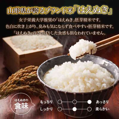 山形県産 無洗米 令和7年産 はえぬき 胚芽精米 10kg(2kg×5袋) 036-007