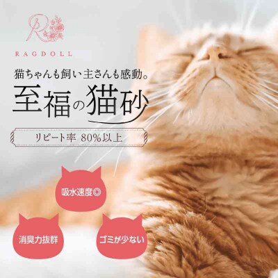 RAGDOLLプレミアムサンド猫砂5kg×2袋(10kg) 049-001