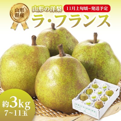《先行受付》ラフランス 約3kg(7～11玉) 【2025年11月上旬頃～発送予定】 001-081