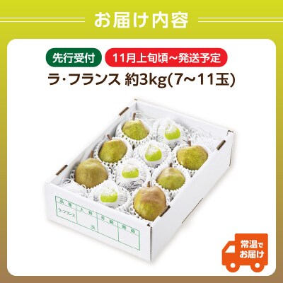 《先行受付》ラフランス 約3kg(7～11玉) 【2025年11月上旬頃～発送予定】 001-081