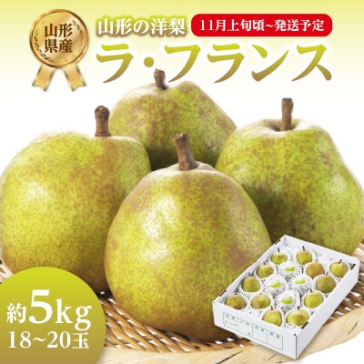 《先行受付》ラフランス 約5kg(18～20玉)【2026年11月上旬頃～発送予定】 001-082