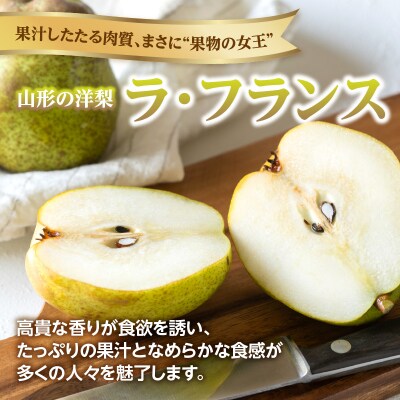 《先行受付》ラフランス 約5kg(18～20玉)【2026年11月上旬頃～発送予定】 001-082