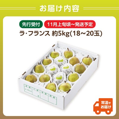 《先行受付》ラフランス 約5kg(18～20玉)【2026年11月上旬頃～発送予定】 001-082