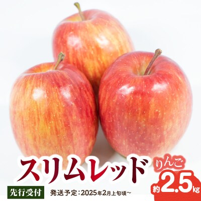 《先行受付》スリムレッドりんご 約2.5kg【2025年2月上旬頃～発送予定】 015-069