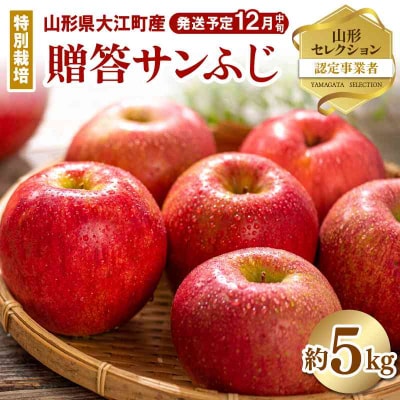《先行受付》特別栽培 贈答規格サンふじ約5kg 【2025年12月中旬頃～発送予定】 025-013