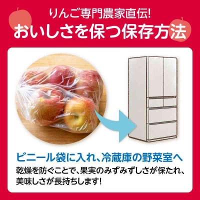 《先行受付》特別栽培 贈答規格サンふじ約5kg 【2025年12月中旬頃～発送予定】 025-013