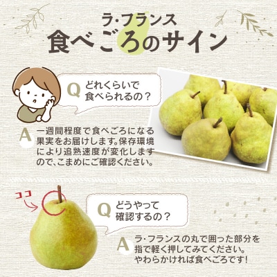《先行受付》特別栽培 大玉ラ・フランス 約5kg【2025年11月上旬発送予定】 025-019