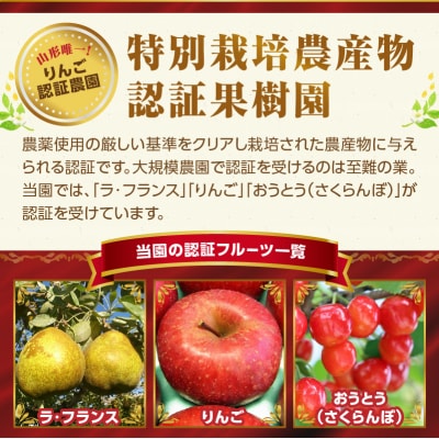 《先行受付》特別栽培 大玉ラ・フランス 約5kg【2025年11月上旬発送予定】 025-019