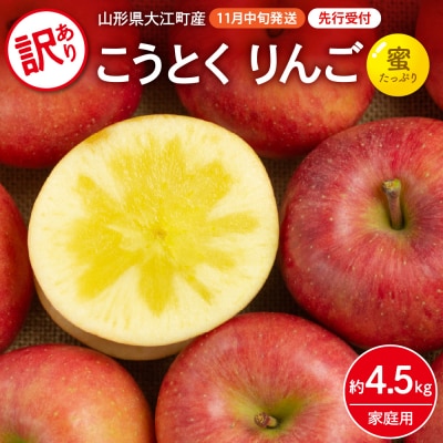《先行受付》訳ありこうとくりんご約4.5kg 【2026年11月中旬頃～発送予定】 028-025