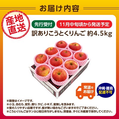《先行受付》訳ありこうとくりんご約4.5kg 【2026年11月中旬頃～発送予定】 028-025