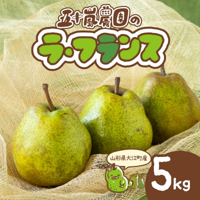 《先行受付》ラフランス 5kg 13～20玉 L～5L【11月中旬頃～発送予定】 048-005