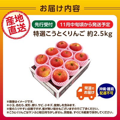 《先行受付》特選こうとくりんご約2.5kg 【2026年11月中旬頃～発送予定】028-024