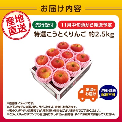《先行受付》特選こうとくりんご約2.5kg 【2026年11月中旬頃～発送予定】028-024