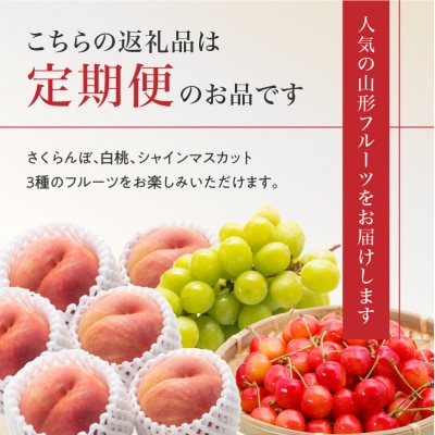  ≪先行受付≫ 山形フルーツ人気ベスト3★【定期便全3回】 060-T01