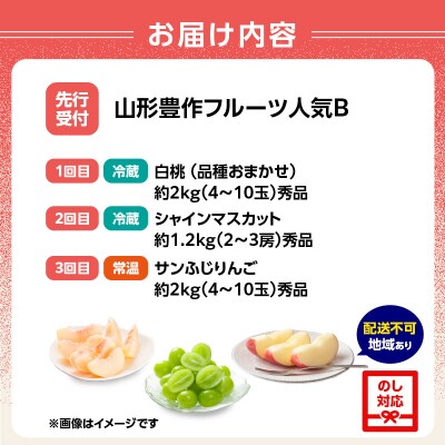 ≪先行受付≫ 山形豊作フルーツ人気B【定期便全3回】 060-T03