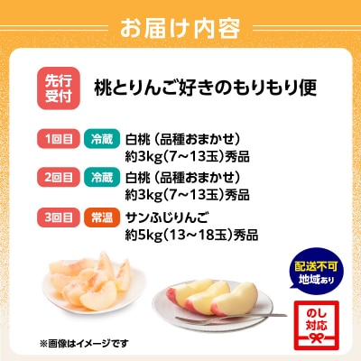 ≪先行受付≫桃とりんご好きのもりもり便【定期便全3回】 060-T04